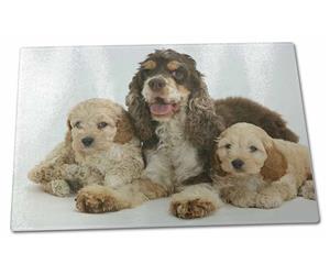 Click Image to See the Different Cockerpoo Dogs & All the Different Products Available