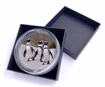 Penguins on Sandy Beach Glass Paperweight in Gift Box