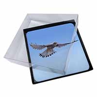 4x Flying Kestrel Bird of Prey Picture Table Coasters Set in Gift Box