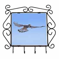 Flying Kestrel Bird of Prey Wrought Iron Key Holder Hooks