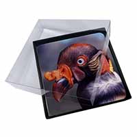 4x King Vulture Bird of Prey Picture Table Coasters Set in Gift Box
