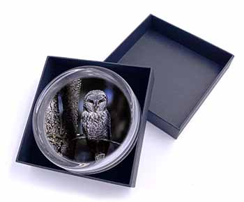 Stunning Owl in Tree Glass Paperweight in Gift Box