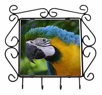 Blue+Gold Macaw Parrot Wrought Iron Key Holder Hooks
