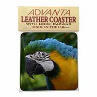 Blue+Gold Macaw Parrot Single Leather Photo Coaster