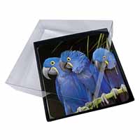 4x Hyacinth Macaw Parrots Picture Table Coasters Set in Gift Box