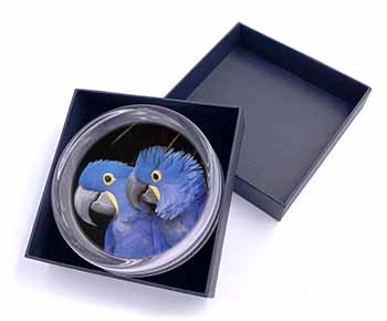 Hyacinth Macaw Parrots Glass Paperweight in Gift Box