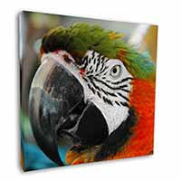 Face of a Macaw Parrot Square Canvas 12"x12" Wall Art Picture Print
