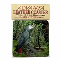 African Grey Parrot Single Leather Photo Coaster