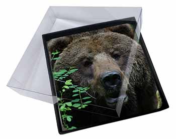 4x Beautiful Brown Bear Picture Table Coasters Set in Gift Box