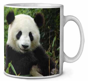 Beautiful Panda Bear Ceramic 10oz Coffee Mug/Tea Cup