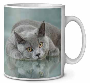 British Blue Cat Laying on Glass Ceramic 10oz Coffee Mug/Tea Cup