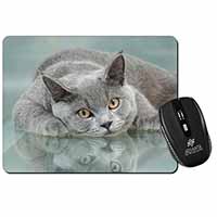 British Blue Cat Laying on Glass Computer Mouse Mat