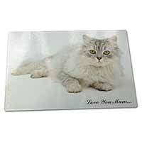 Large Glass Cutting Chopping Board Chinchilla Persian Cat 