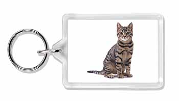 Brown Tabby Cat Photo Keyring printed full colour