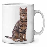 Brown Tabby Cat Ceramic 10oz Coffee Mug/Tea Cup