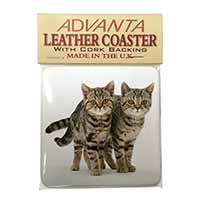 Brown Tabby Cats Single Leather Photo Coaster