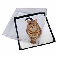 4x Brown Tabby Cat Picture Table Coasters Set in Gift Box