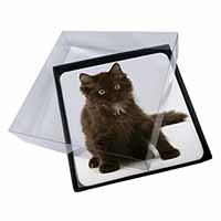 4x Cute Black Fluffy Kitten Picture Table Coasters Set in Gift Box
