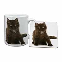 Cute Black Fluffy Kitten Mug and Coaster Set
