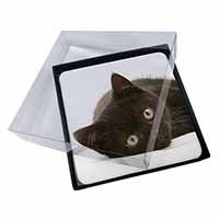 4x Stunning Black Cat Picture Table Coasters Set in Gift Box