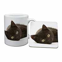 Stunning Black Cat Mug and Coaster Set