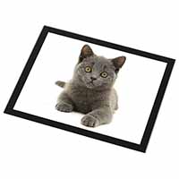 British Blue Kitten Cat Black Rim High Quality Glass Placemat