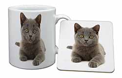 British Blue Kitten Cat Mug and Coaster Set
