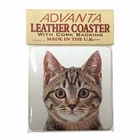 Brown Tabby Cats Face Single Leather Photo Coaster