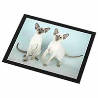 Siamese Cats Black Rim High Quality Glass Placemat
