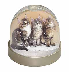 Cute Maine Coon Kittens Snow Globe Photo Waterball