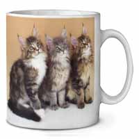 Cute Maine Coon Kittens Ceramic 10oz Coffee Mug/Tea Cup
