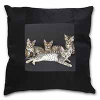 Bengal Kittens Posing for Camera Black Satin Feel Scatter Cushion