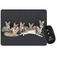 Bengal Kittens Posing for Camera Computer Mouse Mat