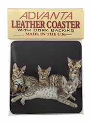 Bengal Kittens Posing for Camera Single Leather Photo Coaster