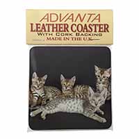 Bengal Kittens Posing for Camera Single Leather Photo Coaster
