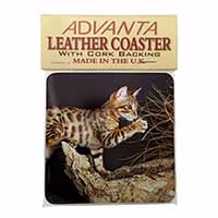 A Gorgeous Bengal Kitten Single Leather Photo Coaster