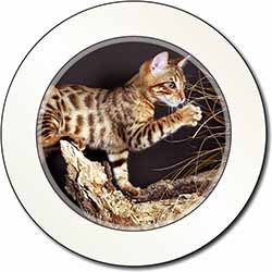 A Gorgeous Bengal Kitten Car or Van Permit Holder/Tax Disc Holder
