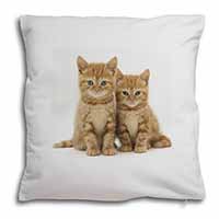 Ginger Kittens Soft White Velvet Feel Scatter Cushion