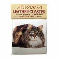 Beautiful Brown Tabby Cat Single Leather Photo Coaster