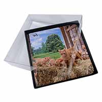 4x Ginger Cat and Kittens in Barn Picture Table Coasters Set in Gift Box