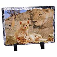 Fantasy Spirit Lion Watch on Ginger Kittens, Stunning Photo Slate