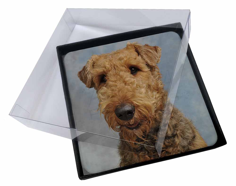 Airedale Terrier Image Black Leather Keyring in Gift Box