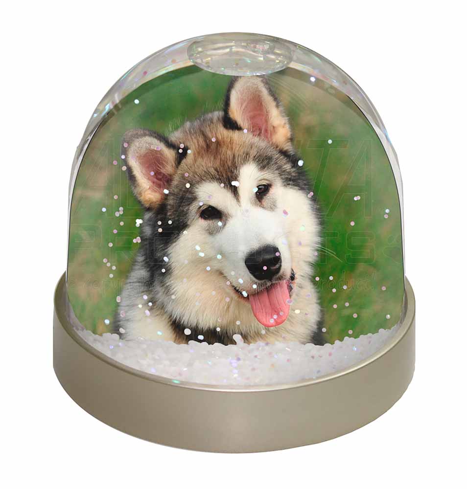 AD-LE1GL Blonde Leonberger Dog Photo Snow Globe Waterball Stocking Filler Gift