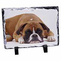 Red and White Boxer Dog, Stunning Photo Slate