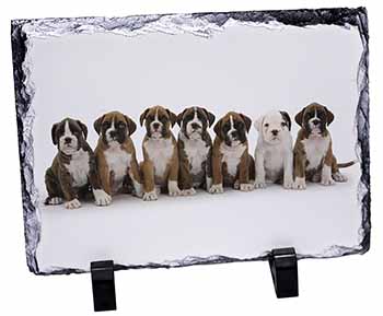 Boxer Dog Puppies, Stunning Photo Slate