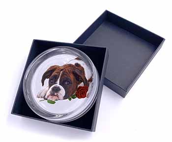 Boxer Dog with Red Rose Glass Paperweight in Gift Box