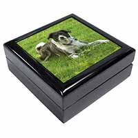 Liver and white Border Collie Dog Keepsake/Jewellery Box