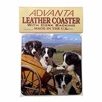 Border Collie Single Leather Photo Coaster