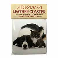 Border Collie and Kitten Single Leather Photo Coaster