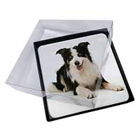 4x Tri-Colour Border Collie Dog Picture Table Coasters Set in Gift Box